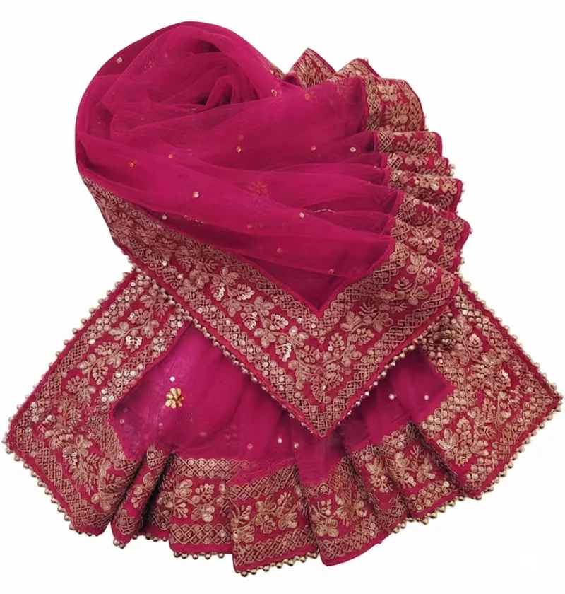 Heavy Net Dupatta with Zari Embroidery & Stone Work