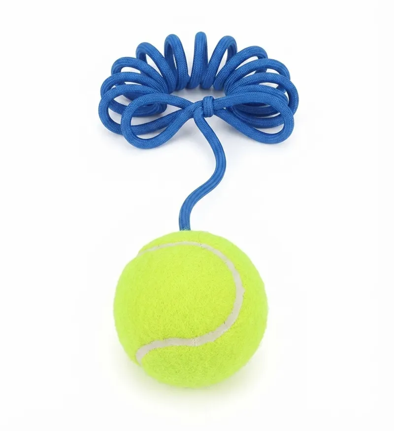 Solo Tennis Training Self-Practice Rebounder Tool